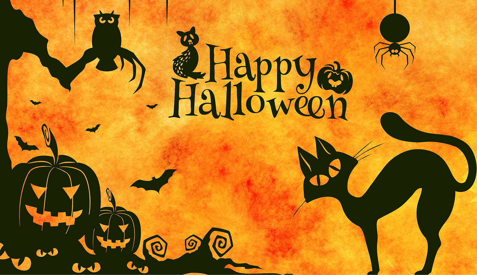 ¿Cuál es el verdadero origen de Halloween?